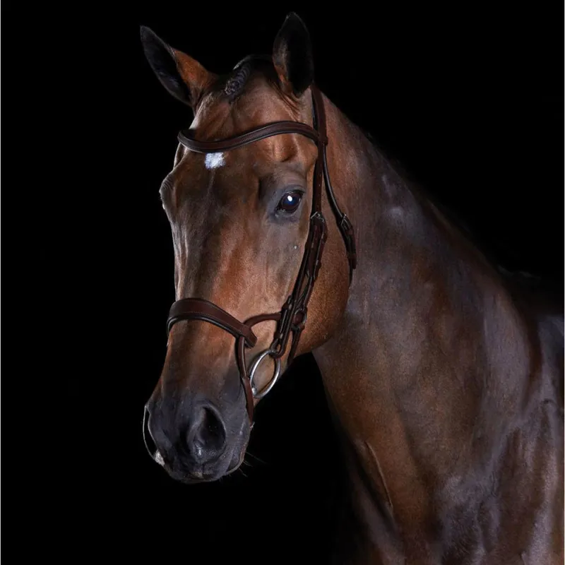 Collegiate ComFiTec Training Bridle - Brown